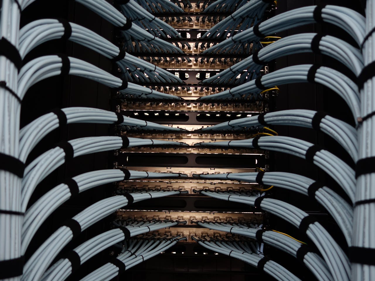 Hola, món! Organized network server cables for efficient data management.